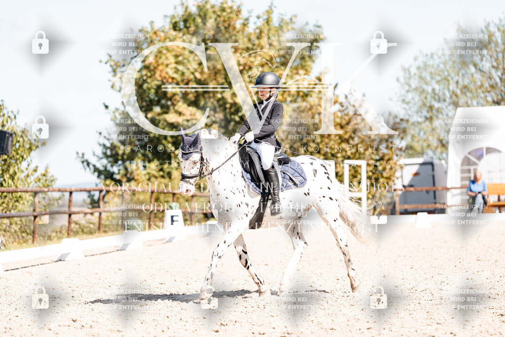 CK904143 | Turnierfotografie Pferdefotografie Trier Rheinland-Pfalz Pferdesport Reitsport Tierfotografie Sportfotografie Pferdevideo Pferdevideografie Equestrianvideography equestrianphotography  - Realisiert mit Pictrs.com
