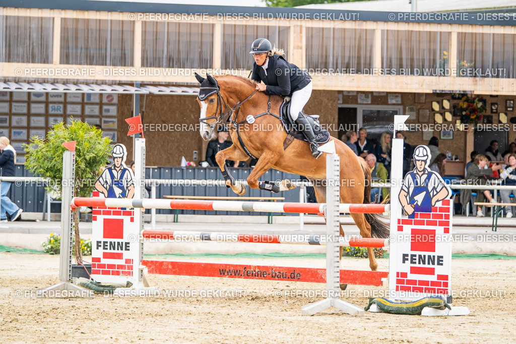 DSC02604 | Pferdegrafie