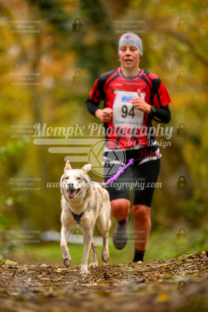 MompixPhotography_Bischwiller24_SA_Canicross-63 | PayLife