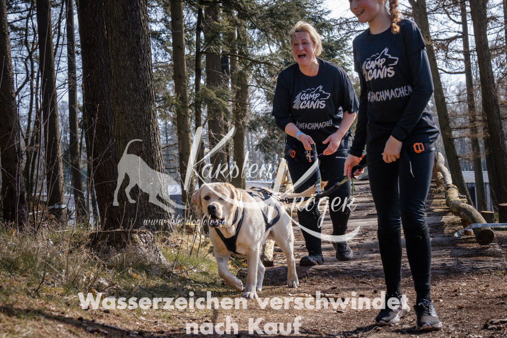 1359_ZZ96868 | kk-dogfotos