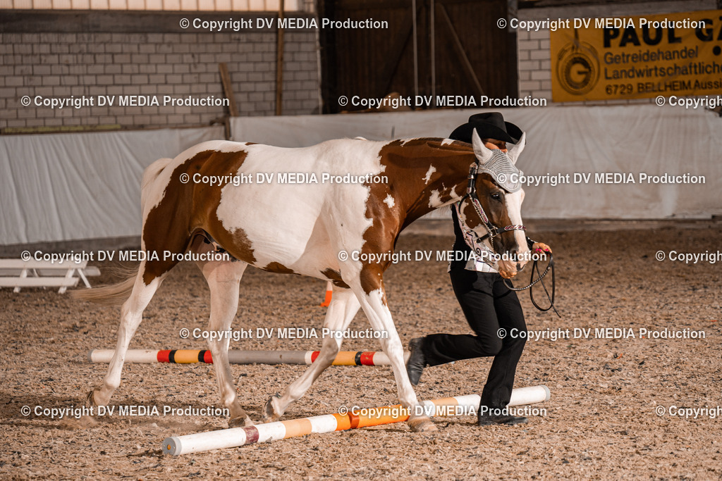 ZH300423 | dv-media-shop - Realisiert mit Pictrs.com