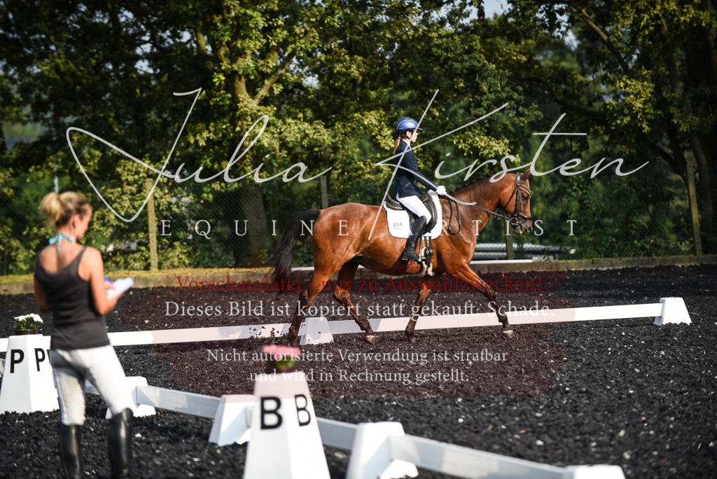 DSC_3351 | Pferde- und Turnierfotografie in Westsachsen. Pferdeportraits, Auftragszeichnungen und intuitive Kunst.
