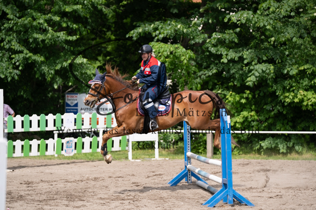 A7V04694 | Pferdefotograf