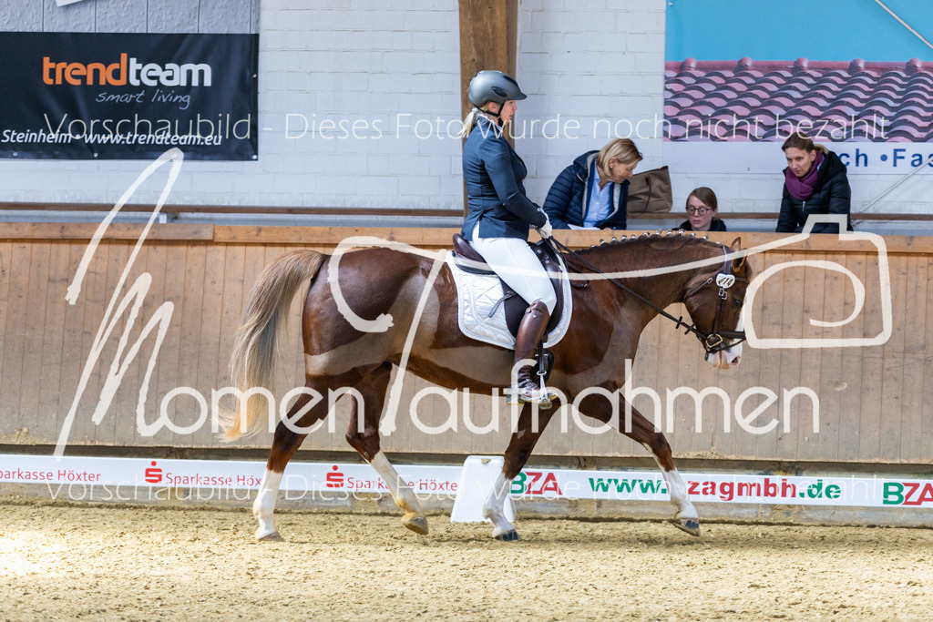 Sth-LPO25-DrR-L-172 | MomenTaufnahmen Pferdesportfotos