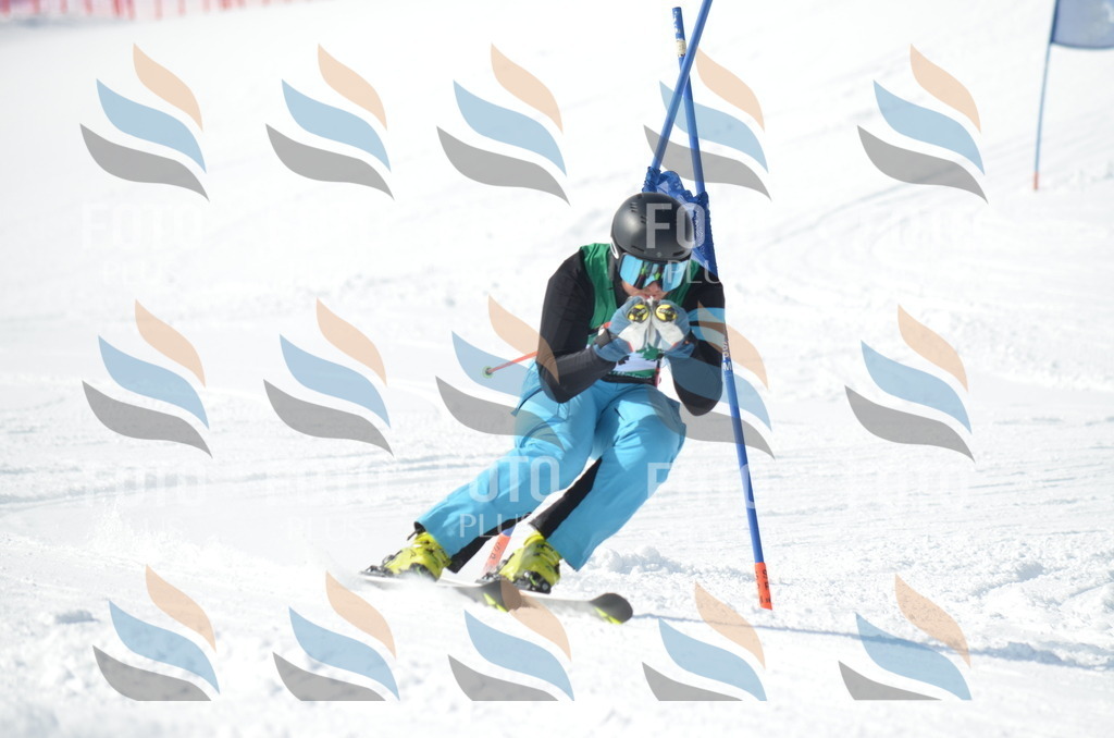 D9216 | holidayphoto