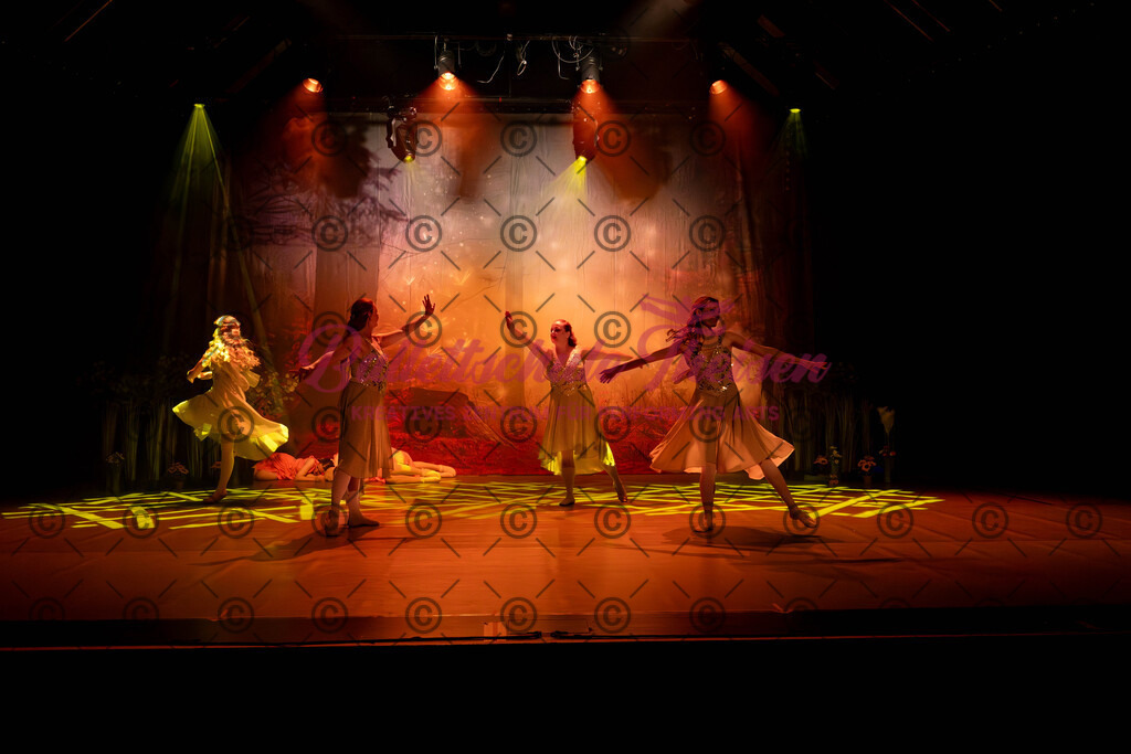Ballettaufführung-543 | Bildershop Lem'n Entertainment - Realisiert mit Pictrs.com