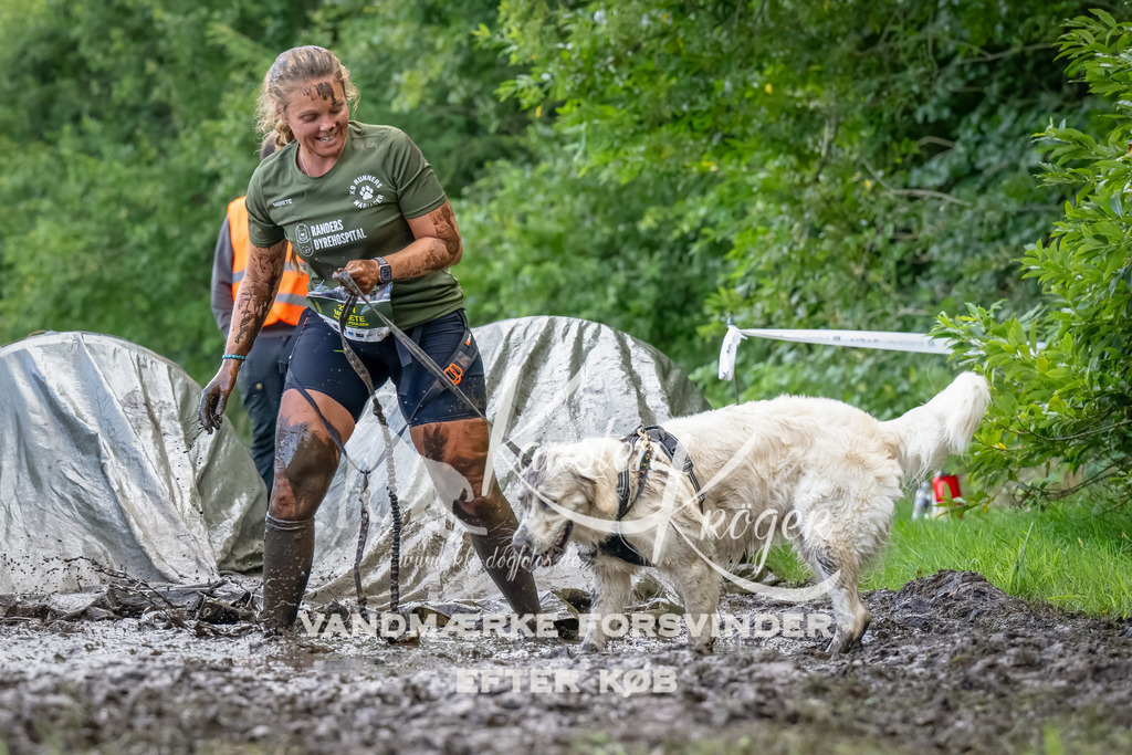 1153_ZZ90037-Bearbeitet | kk-dogfotos