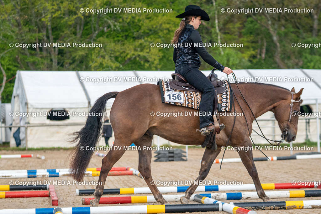 Heiligenwald Tag 1-56 | dv-media-shop - Realisiert mit Pictrs.com