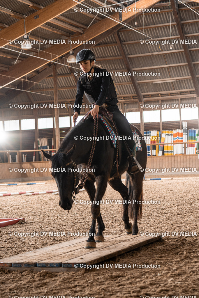 Heidelberg Tag 1-332 | dv-media-shop - Realisiert mit Pictrs.com