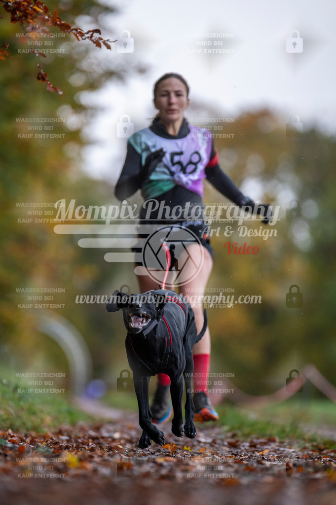 DBT_DAKM_SA_4_11_2023_Canicross-8 | PayLife