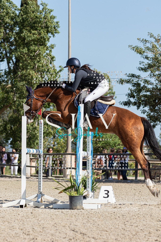 IMG_1070 | s-jay-photography - Realisiert mit Pictrs.com