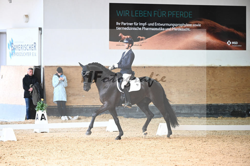 Kat-Nr. 49 Dunmore_v d Vorst_14240397 | hf-fotografie - Realizzato con Pictrs.com