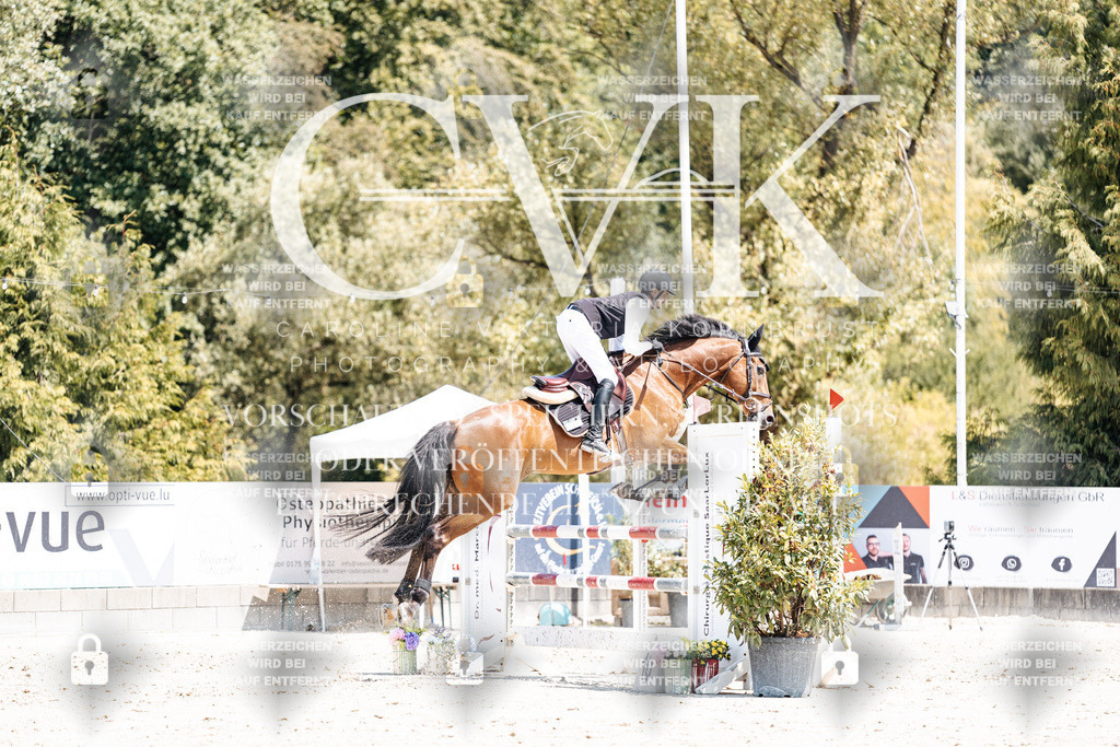 CK900613 | Turnierfotografie Pferdefotografie Trier Rheinland-Pfalz Pferdesport Reitsport Tierfotografie Sportfotografie Pferdevideo Pferdevideografie Equestrianvideography equestrianphotography  - Realisiert mit Pictrs.com
