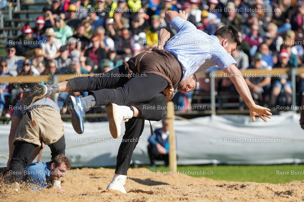 RB-01209 | René Burch leidenschaftlicher Fotograf aus Kerns in Obwalden.  Hier finden sie Sport, Landschaft und Natur Fotografie.
 - Realisiert mit Pictrs.com