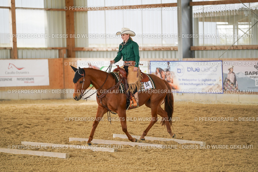 DSC04626 | Pferdegrafie