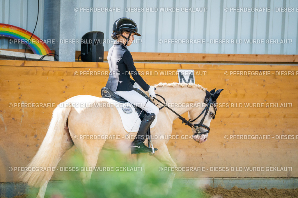 DSC07366 | Pferdegrafie