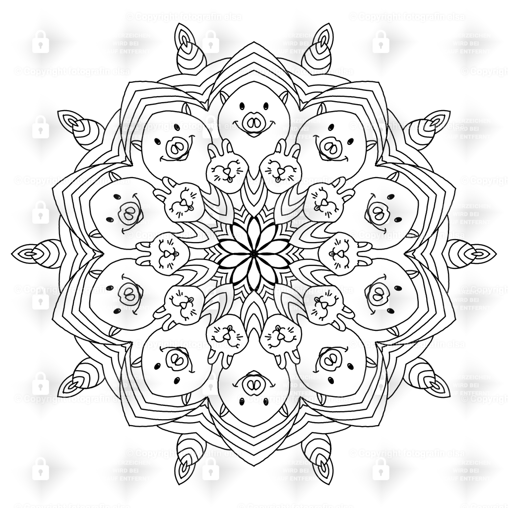 doo25a | fotografinelsa