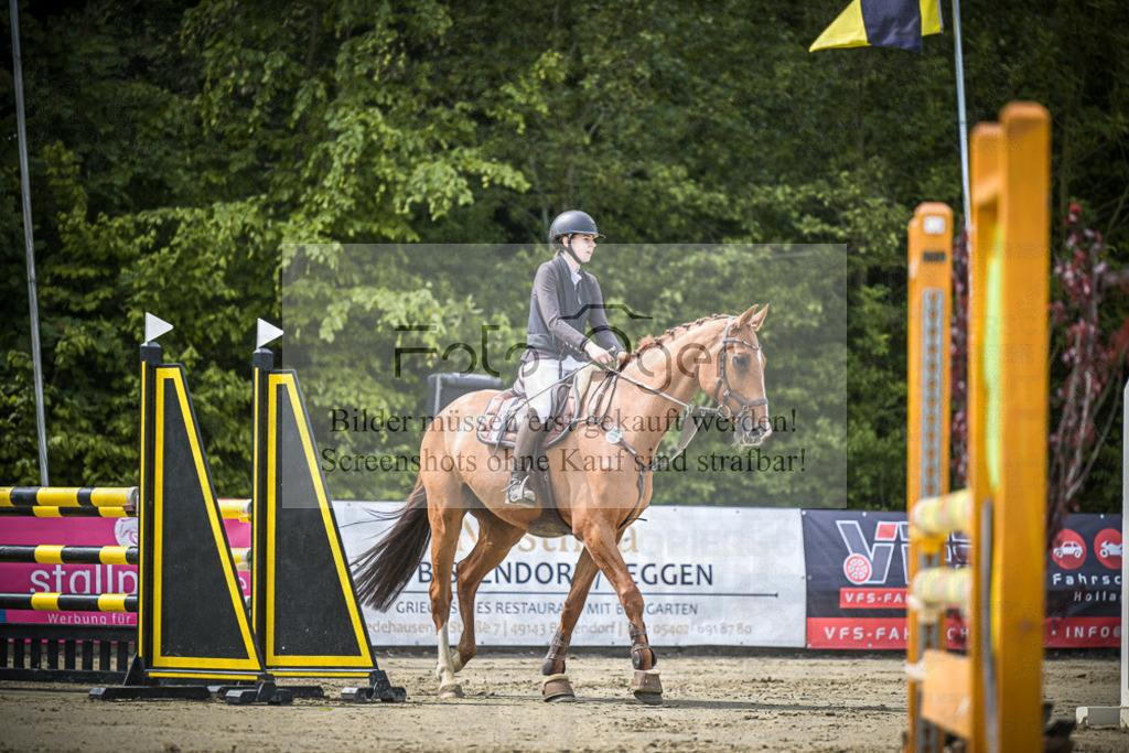 DOS_4672 | Entdecke hochwertige Reitturnierfotos von Foto Oger. Professionell, emotional und authentisch – jetzt Lieblingsmomente im Shop bestellen.Deutschlandweite Turnierfotografie. - Realisiert mit Pictrs.com