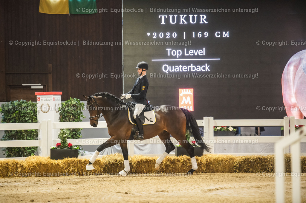 20240302_Hengstvorstellung_Marbach_TOMsPiC_0117 | equistock