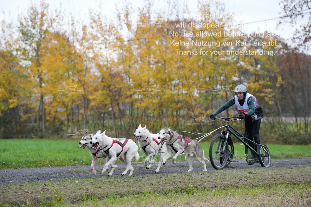Visbeck_Sa_D4_6-14 | stephaniefillaphotographie - Realisiert mit Pictrs.com