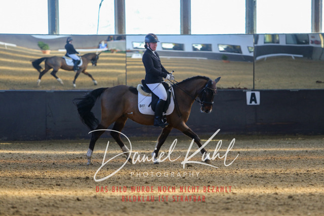 IMG_2976 | Turniersportfotografie; Pferdefotografie; Dressurfotografie