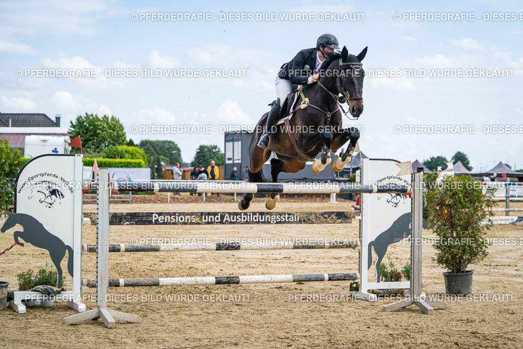 DSC07078 | Pferdegrafie