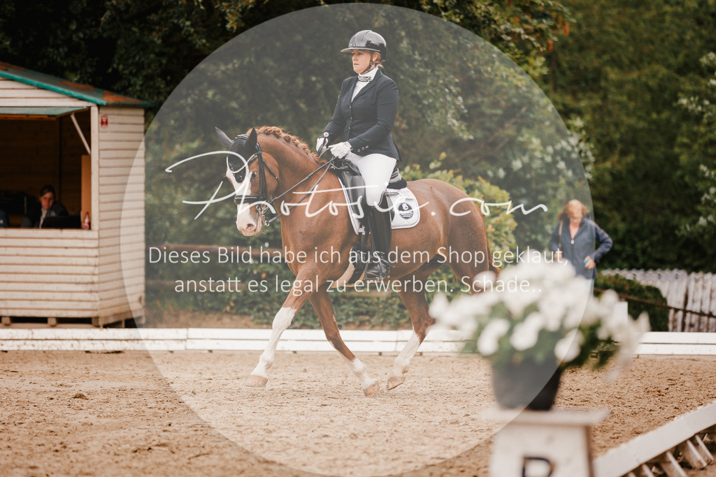 3I6A7799 | Stimmungsvolle Portraits und Reitsportfotografie im Ruhrgebiet und im Münsterland.

Pferdefotografie, Hundefotografie, Tierfotografie, Reportagen, Portraits von Tier und Mensch, Turnierfotografie in Bochum, Recklinghausen, Marl, Haltern am See, Dülmen.. - Realisiert mit Pictrs.com