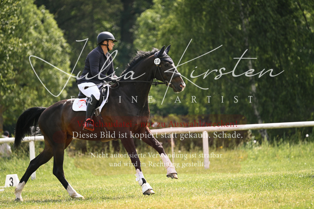 DSC_9101 | Pferde- und Turnierfotografie in Westsachsen. Pferdeportraits, Auftragszeichnungen und intuitive Kunst.