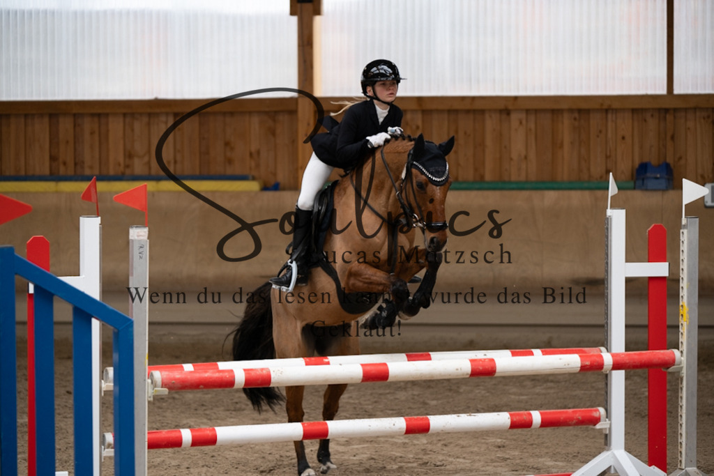 A7V00676 | Pferdefotograf