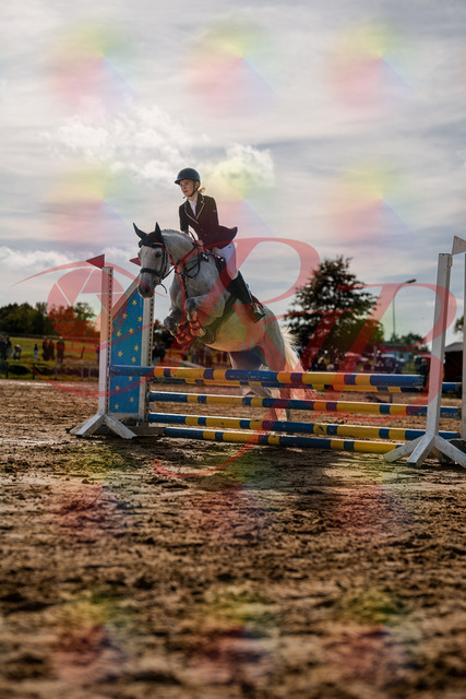 2026_10_03_Siefer-Hof_155119_Z63_10242390 | Professionelle Reitsport-, Turnier- und Eventfotografie von Robert Broda. Galerien mit ausgewählten und bearbeiteten Bildern direkt online ansehen und bestellen.