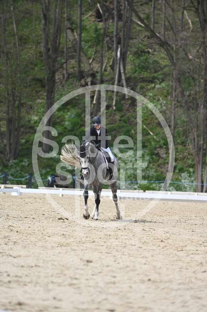 DSC_3613 | sattelsport - Realisiert mit Pictrs.com