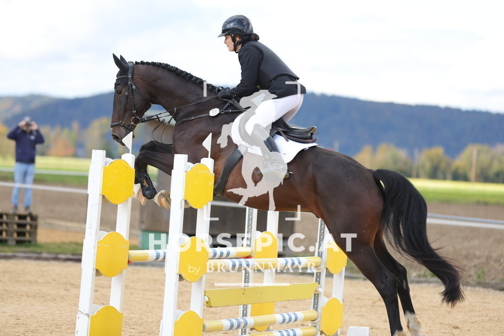 0P6A1312 | Willkommen bei Brunnmayr - Design & Fotografie – Ihrem Spezialisten für Reitturniere und Pferdeveranstaltungen in Oberösterreich, Salzburg und Bayern! Seit über 17 Jahren sind wir leidenschaftlich dabei.