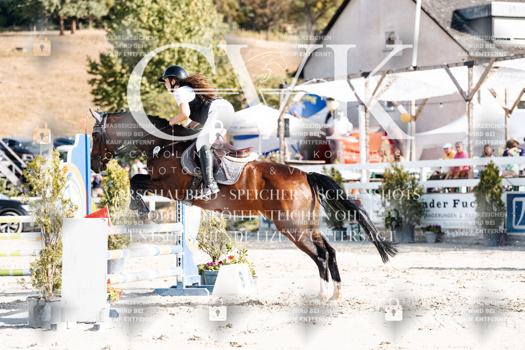 CK909293 | Turnierfotografie Pferdefotografie Trier Rheinland-Pfalz Pferdesport Reitsport Tierfotografie Sportfotografie Pferdevideo Pferdevideografie Equestrianvideography equestrianphotography  - Realisiert mit Pictrs.com