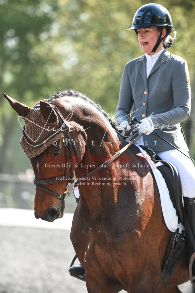 DSC_8951 | Pferde- und Turnierfotografie in Westsachsen. Pferdeportraits, Auftragszeichnungen und intuitive Kunst.