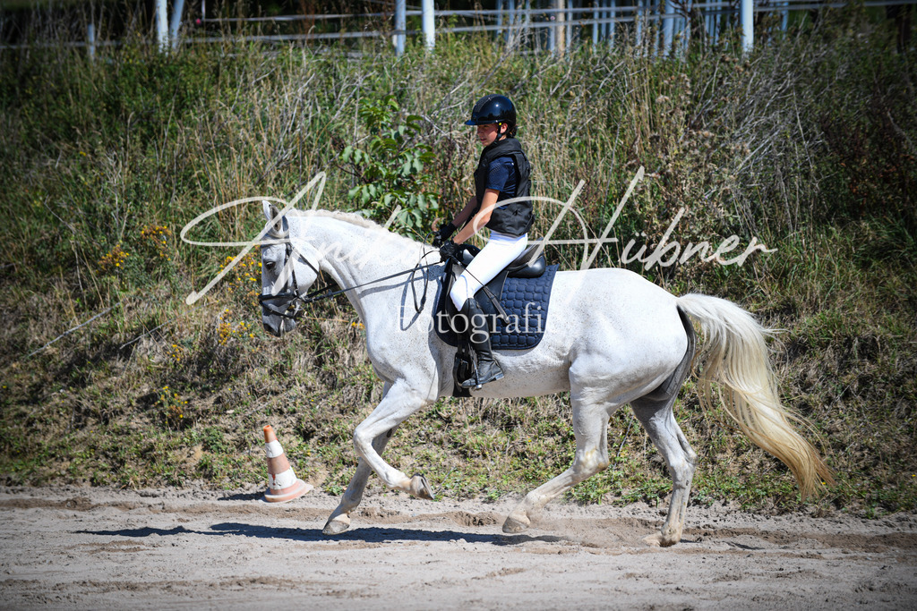 DSC_0242 | anikahuebner - Realisiert mit Pictrs.com