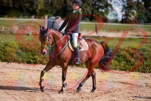 2026_10_03_Siefer-Hof_143552_Z81_05082585 | Professionelle Reitsport-, Turnier- und Eventfotografie von Robert Broda. Galerien mit ausgewählten und bearbeiteten Bildern direkt online ansehen und bestellen.