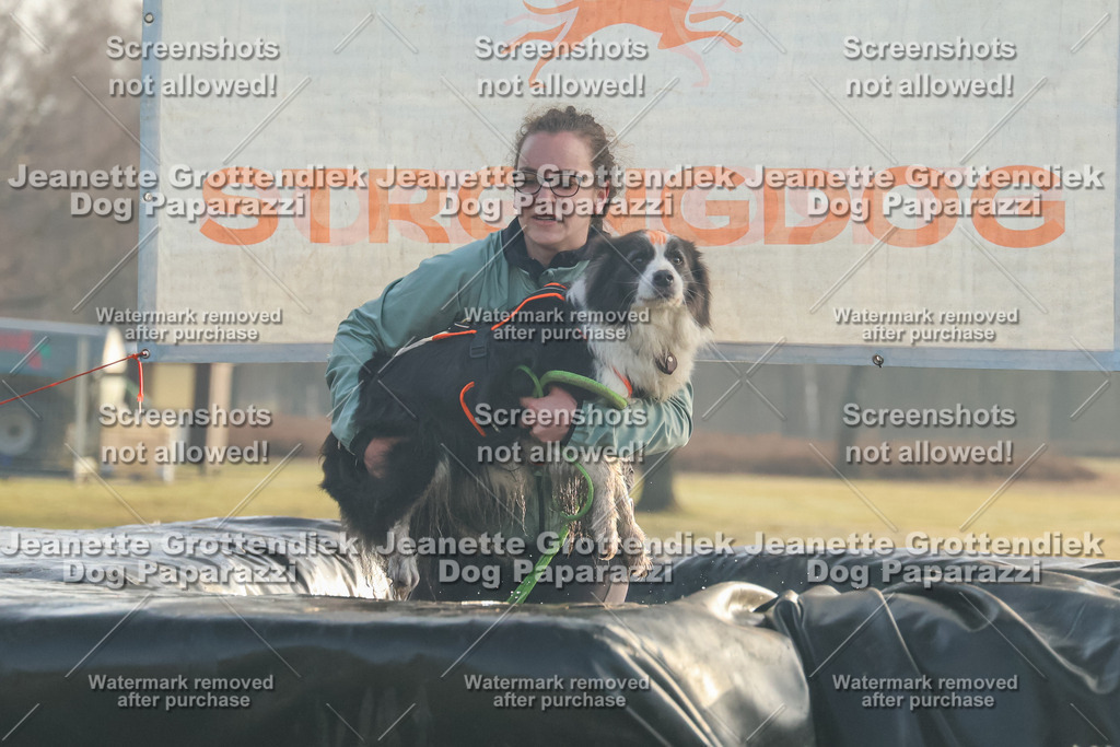 Dog Paparazzi - SD North Sa 830-900-116 | Dog Paparazzi Jeanette Grottendiek Fotografie & Videografie - Realisiert mit Pictrs.com