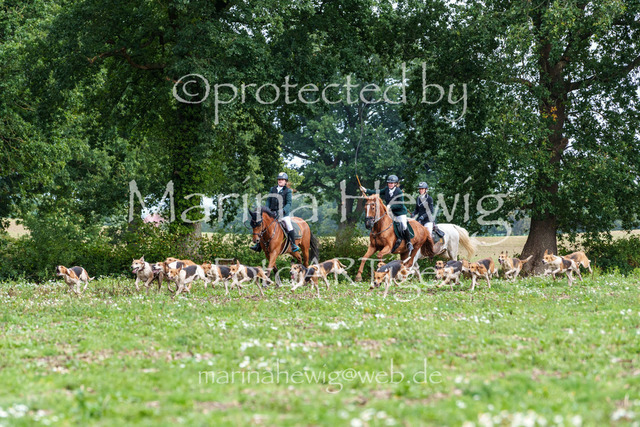 Jagd Perdoel 26 Sony-03608_MarinaHewig | Fotografie, FotoArt, PferdesportArt, Pferdesportfotografie, Landschaftsfotografie, Reisefotografie, Reise, Pferde - Realisiert mit Pictrs.com