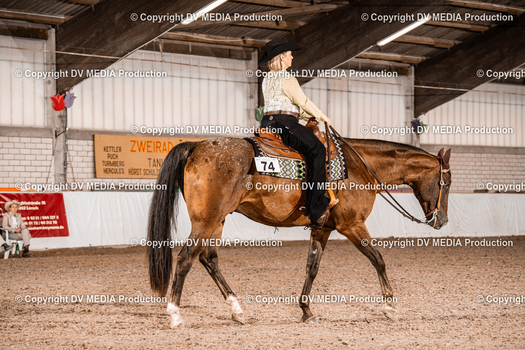 ZH300070 | dv-media-shop - Realisiert mit Pictrs.com