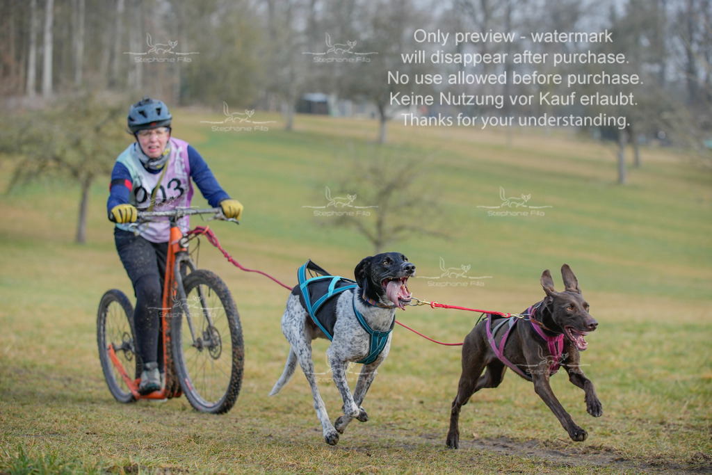 Sa_Scooter2-11 | stephaniefillaphotographie - Realisiert mit Pictrs.com