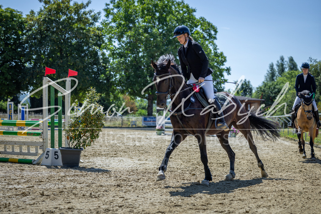 20260704-_3LI8261 | Tierfotografie Pferde, Hunde, Katzen, Haustiere.
Turnierfotografie Reitturniere, Reiten, Springreiten, Dressur in Hanau, dem Main-Kinzig-Kreis und dem Rhein-Main- Gebiet um Frankfurt