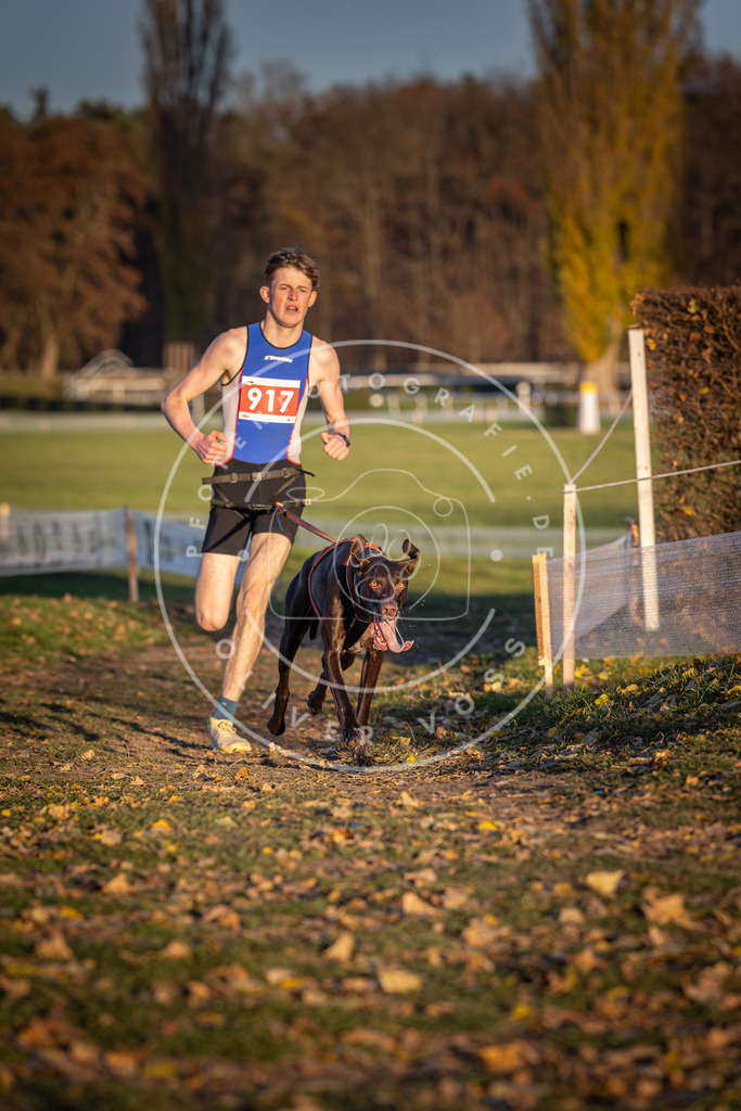 CaniXpix_DV3A4860 | Hundefotografie, Tierfotograf, Pfotenfotografie, Fotoshooting Hund, Hunde Portrait, Hundesport, Hundeportraits, Heideshooting, Hunde, Sportfotograf, Hundefotograf, Turnierhundsport, THS,  - Realisiert mit Pictrs.com