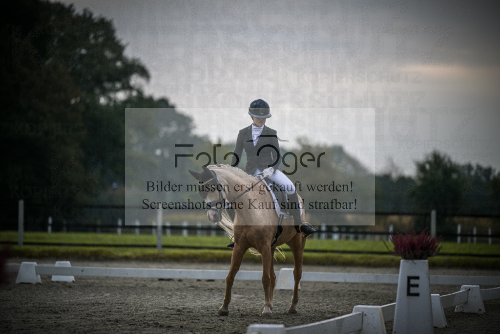 DOS_0923 | Entdecke hochwertige Reitturnierfotos von Foto Oger. Professionell, emotional und authentisch – jetzt Lieblingsmomente im Shop bestellen.Deutschlandweite Turnierfotografie. - Realisiert mit Pictrs.com