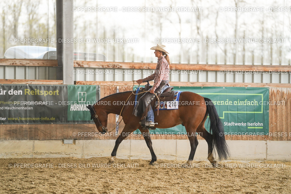 DSC07697 | Pferdegrafie