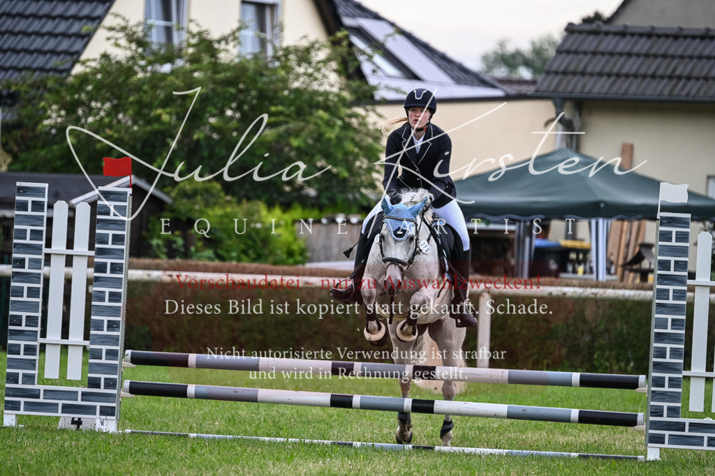 DSC_8508 | Pferde- und Turnierfotografie in Westsachsen. Pferdeportraits, Auftragszeichnungen und intuitive Kunst.
