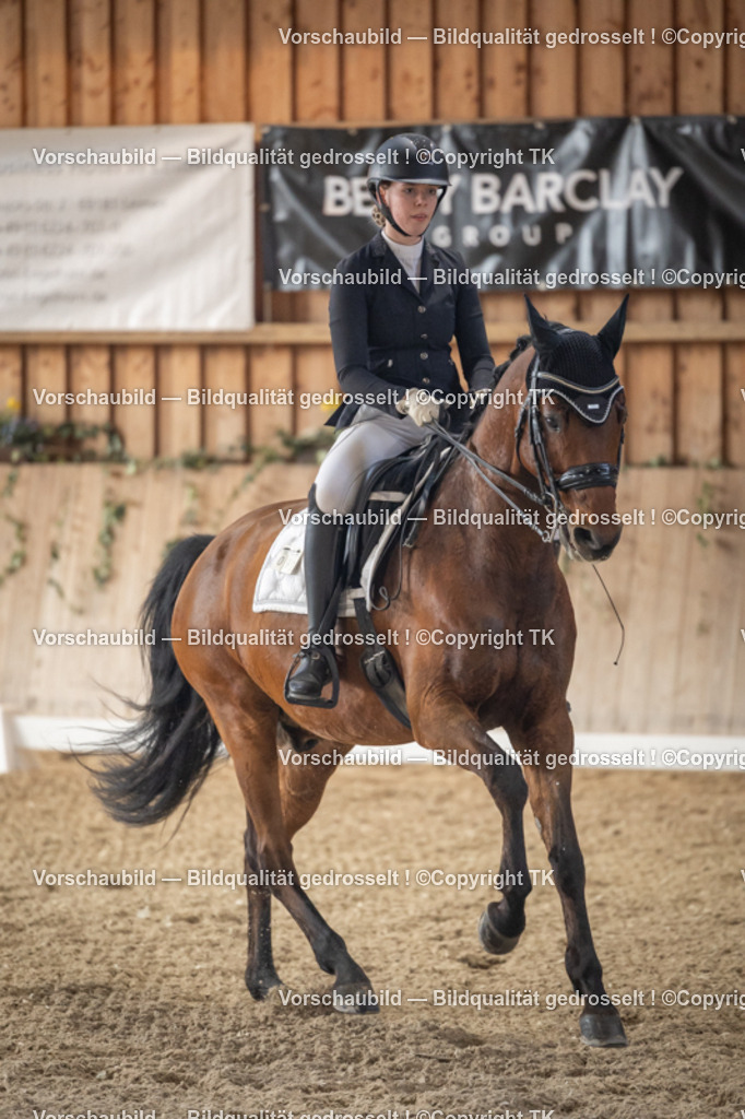 _D5A6013 | Emotionale Pferde- & People-Fotografie rund um Heidelberg, Leimen & Umgebung. Natürliche Fotos von Pferd, Mensch & Familie. Jetzt Termin sichern!