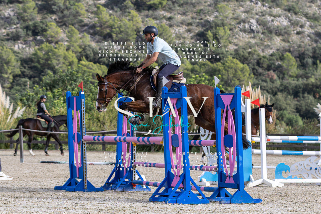 IMG_3452 | s-jay-photography - Realisiert mit Pictrs.com