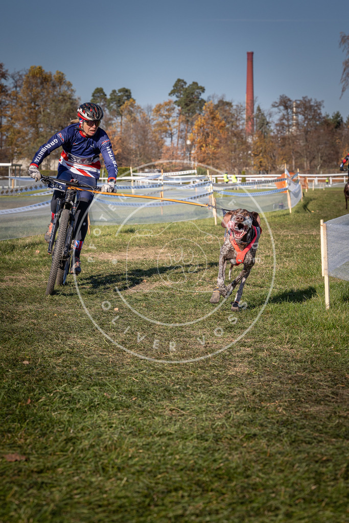 CaniXpix_0L8A6302 | Hundefotografie, Tierfotograf, Pfotenfotografie, Fotoshooting Hund, Hunde Portrait, Hundesport, Hundeportraits, Heideshooting, Hunde, Sportfotograf, Hundefotograf, Turnierhundsport, THS,  - Realisiert mit Pictrs.com