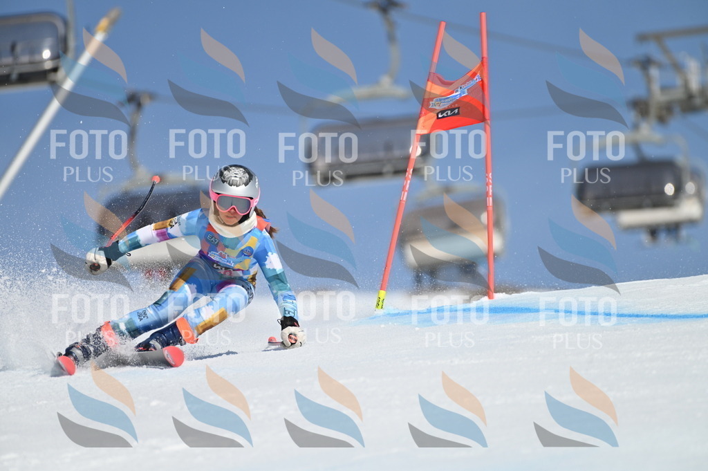 BGV_8680 | holidayphoto