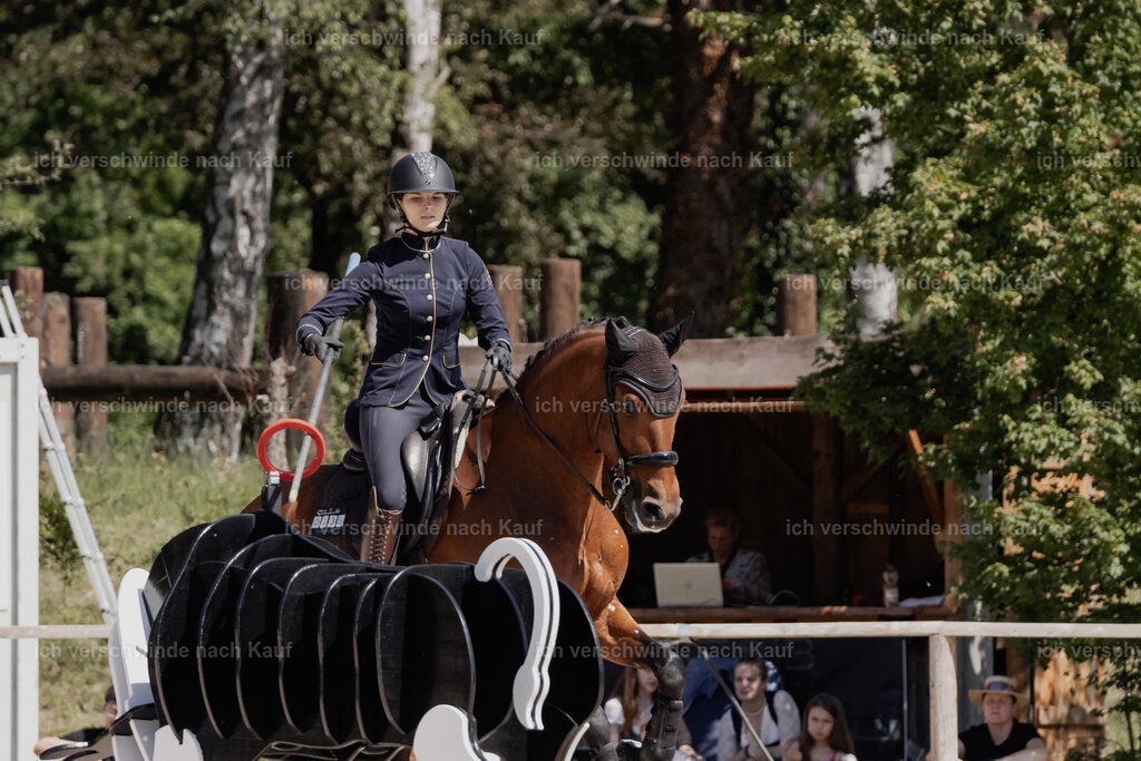 _AM18924 | Pferd International München 2025